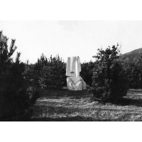 1978_Elena_Hariga_Lindabrunn_07