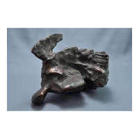Elena_Hariga_sculptura_bronz_Inger02